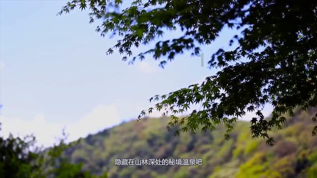 恶灵附身