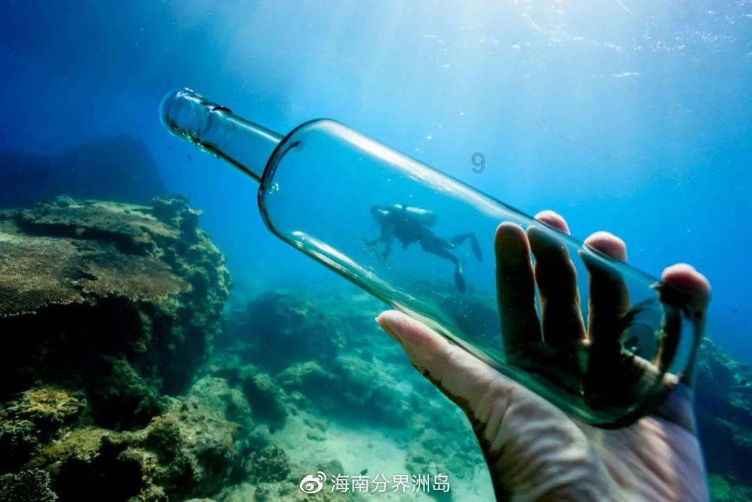 老蒋曾想要暗杀宋庆龄,她究竟做了什么,使老蒋放弃暗杀计划